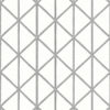 BOX KITE T10134